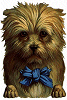 Sad Dog