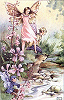 Fairy