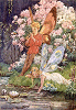 Fairy