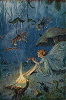 Fairy