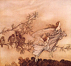 Fairy