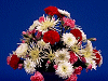 Flower Arrangement