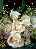 Peach Roses
