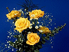 Roses in Vase