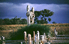 tombstones