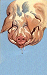  Not by the Drool of my chiny-chin-chin 