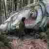 thumbnail of your picture #16