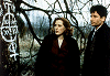 xfiles