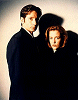 xfiles