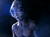 xfiles