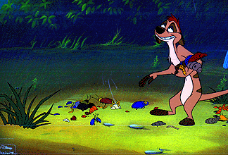 Timon