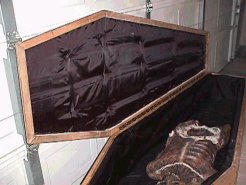 coffin interior