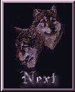 Next