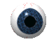 Eye-ball