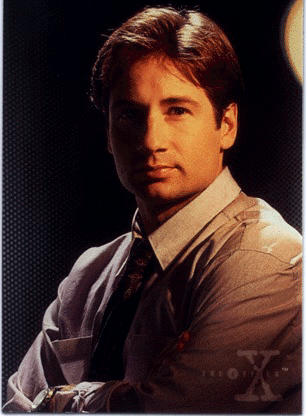 fm1.GIF (78842 bytes)