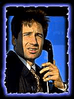 fm3.gif (23010 bytes)