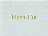 Flash