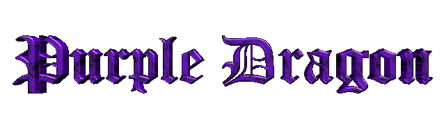 Purple Dragon MUD