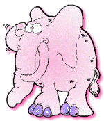 pink elephant
