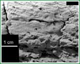 Imagen microsc�pica de una roca llamada "�ltima Oportunidad" captada por el explorador Opportunity en Marte. Seg�n expertos, proporciona evidencia de que los sedimentos que formaron la roca fueron depositados por agua corriente.
