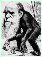 Darwin evoluciona