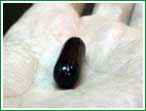 Suplementos: �Medida contraproducente?