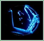 Colonias de microbios fosforescentes