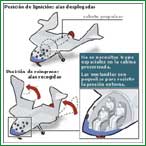 Esquema del SpaceShipOne - Fama, negocios y premios: Pero no s�lo el incipiente mercado del turismo espacial est� en la mira de los constructores. Un merecido lugar en la historia de la aviaci�n y los US$10 millones del Premio Ansari-X a quien logre el primer vuelo tripulado no gubernamental al espacio tambi�n forman parte del paquete. Pero para vencer a los otros 25 equipos en carrera, deber�n repetir la haza�a de este lunes en no m�s de dos semanas.