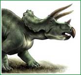 Triceratops: ant�lopes peso pesado del pasado