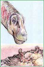 Representaci�n de saur�podo recibiendo el nacimiento de las cr�as. Museo Argentino de Ciencias Naturales (MACN)