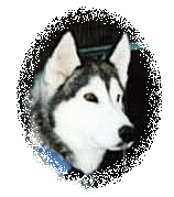 Vargen, age six