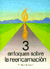 3 Enfoques sobre la Reencarnaci�n