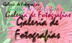 Galería de fotografías