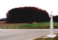 Wooded Tump in Montet