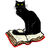 right book
cat