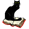 left book
cat