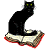 left book
cat
