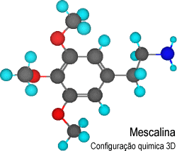 Configuração química 3D da mescalina