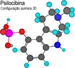 Configura��o quimica 3D da Psilocibina