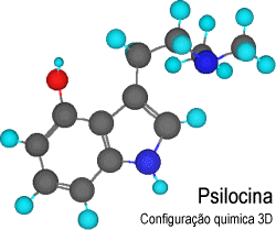Configuração quimica 3D da Psilocina