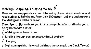Bern Flyer