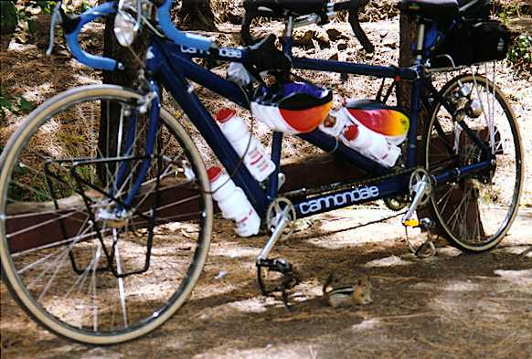 The bike