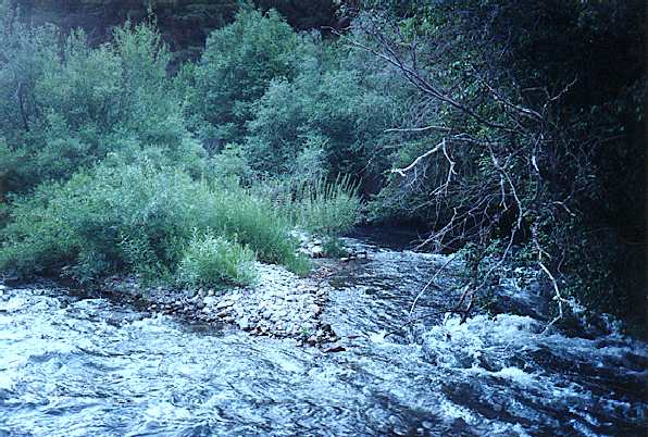 Logan canyon