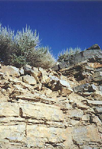 Cliff above Logan canyon