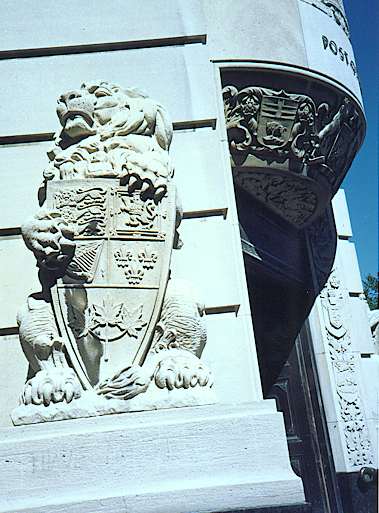 Supercilious lion