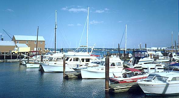The Marina