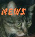 -news-