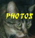 -photographs-
