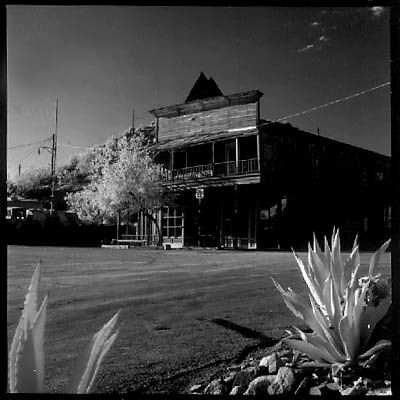 Oatman1.jpg (31562 bytes)