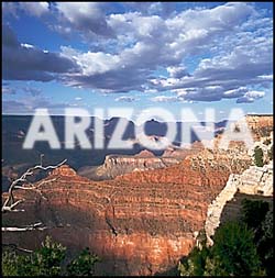 Click here to enter Arizona section